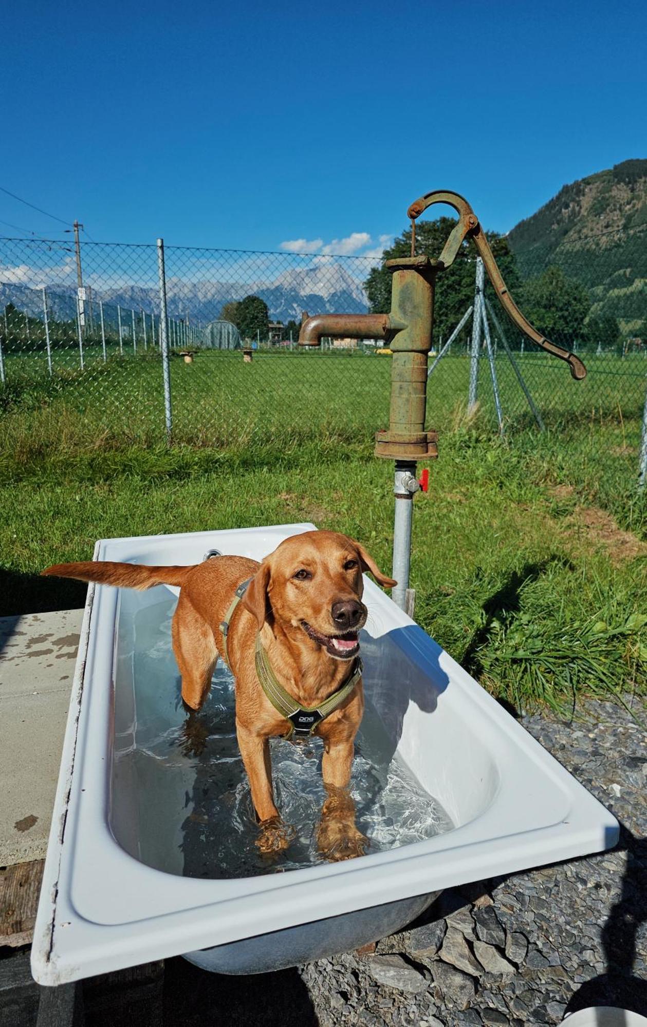 Chaletdorf Zellersee Maishofen Esterno foto